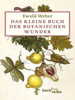 cover image of Das kleine Buch der botanischen Wunder